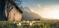 Grainau Landschaft und Natur